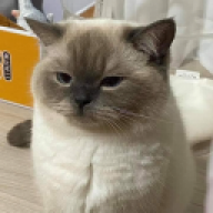 ᴜɴɴɪᴇ